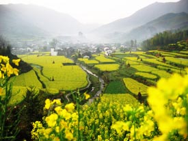 photo of Wuyuan county in Jiangxi