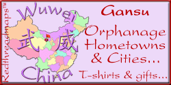 Orphanage Hometown Gifts Gansu